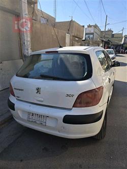 بیجۆ 307